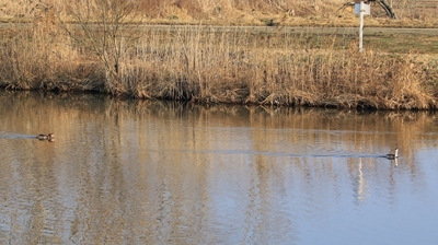 D11A3928 (1024x575).jpg