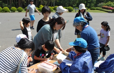 IMG_0339 (1024x657).jpg