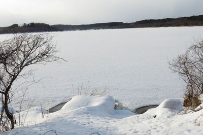 IMG_5248.JPG