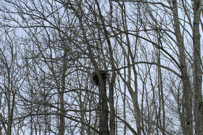 IMG_7093-atgȓP.jpg
