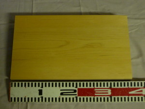 P1010515圧縮済み.jpg