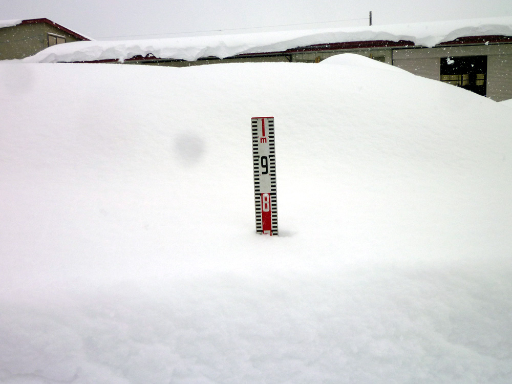 冬雪 豪雪地帯 新潟県妙高市☃️ 見てください、この雪壁！ 妙高市
