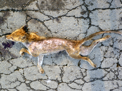 P1020585-a-t.jpg